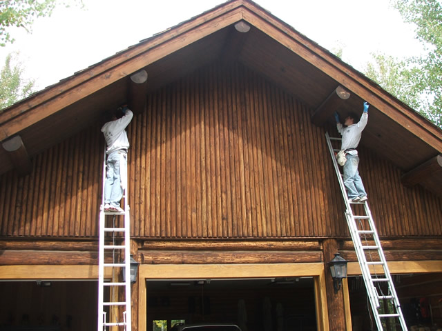 Allstate Animal Control, bat habitat